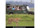 Top Kenya Safari Tour Operators for Unmatched Adventures