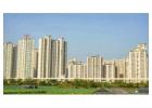 Get Flats For Rent in Noida