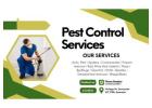 Pest Control in Doncaster, VIC