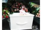 Looking For Best Tamil Funeral Service in London