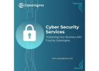 Cyber Security Services – Protecting Your Business with Trust by Cybersigma 