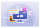 Laravel API Development for Modern Web Applications | Pixxelu