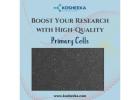 Boost Your Research with High-Quality Primary Cells