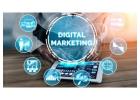 Top Digital Marketing Firm | Grow Your Business Online Today