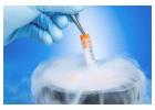 Egg Freezing in Hyderabad | Oocyte Cryopreservation - MotherToBe