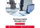 Optimize Your Business with Expert Working Capital Management