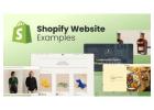 Shopify Development Company in India for Next-Level eCommerce Success