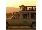 Tarangire National Park Tour 