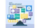  Web Application Development Services | Stellanova Globaltech