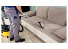 Reliable Couch Cleaning Brighton: Squeaky Clean Sofa