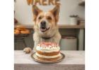 Order Custom Birthday Cakes & Treats from Dog Bakery in Rohini!