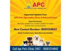 APC Pet Clinic : Best Pet Clinic In Kolkata | Best Veterinary Clinic