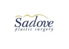 Best Labiaplasty Surgeon in Florida | Sadove Plastic Surgery