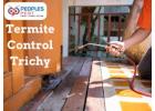 Best Termite Pest Control Service in Trichy