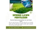 Professional Lawn Care Services for a Healthy, Lush Yard