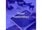 Numerologist