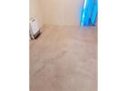 Remove rigid grime and filth with holistic Carpet cleaning services near me