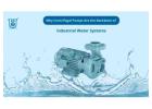 Centrifugal Pumps: Essential for Industrial Water Systems