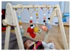 Montessori Play Gym with Safe, Fun & Educational Playtime