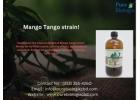 Mango Tango Strain for Sale – Best Deals Here