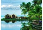 Experience the Beauty of Kerala with Kesari Tours