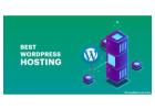 Choosing the Best Solution for Your Website Comprehensive Guide to WordPress Hosting Plans