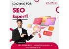 Boost Your Brand with SEO Services in Mumbai