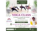 Yoga Classes, US Allianced Certified Yoga Teacher Training Course, Ahmedabad,