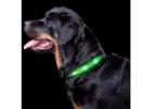 Durable Dog Waterproof LED Collar for Nighttime Adventures