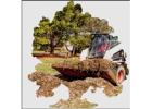 Efficient Debris Removal Service by Tree Service Expert the Fast, Reliable, and Affordable