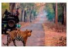 Explore India’s Best Wildlife Safaris with Travelogy India!