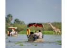 How Can Families Ensure Safety During a Kenya Safari?