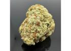 Get Cheap Weed Delivery in Hamilton – Dankhub