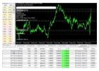 Forex Robot For Sale(High Frequency Forex Trading)