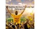 Bet Anytime, Win Every Time with Tiger Exchange 247