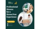 Professional Movers for a Stress-Free Experience