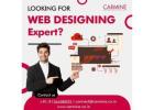 Professional Website Development Company in Mumbai 