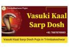 Vasuki Kaal Sarp Dosh Puja in Trimbakeshwar | Trimbakeshwar Pujan