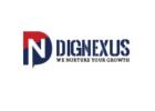 Dignexus- You Perfect Website Partner