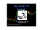 Forex Robot For Sale(High Frequency Forex Trading)