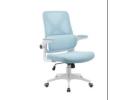 Ergonomic Office Chair for Ultimate Comfort | IFCO