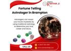 Fortune Telling Astrologer in Brampton