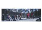 Shimla Kullu Manali Tour Package