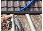 Gutter Cleaning Castle Hill by Vac'd Up Pty Ltd