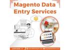 Best Magento Product Data Entry Services in India