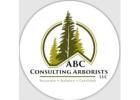 Abc Professional Tree Service