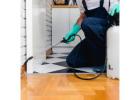 Expert Pest Control in Manchester - Fast & Reliable Solutions