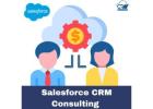 Salesforce CRM Consulting: The Catalyst for Business Success