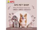 APC Pet Clinic: Best Pet Clinic In Kolkata