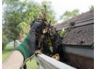 Get Professional Gutter Cleaning Services from Riptide Softwash 